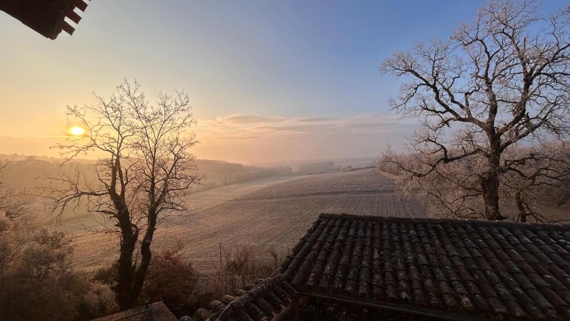 Senouillac Chambres D'Hotes Dans Un Chateau Au Coeur De La Toscane Occitane Albi-Cordes-Rabastens المظهر الخارجي الصورة